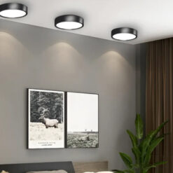 Đèn LED Downlight nổi trần đổi màu NT03 120/10W Rạng Đông