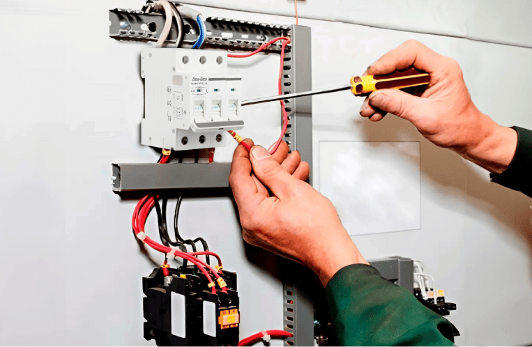Aptomat ngắn mạch 3 cực 6A Rạng Đông - Hình ảnh 6