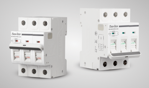 Aptomat ngắn mạch 3 cực 6A Rạng Đông - Hình ảnh 9